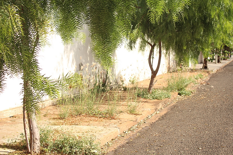 Bairro Vila Rica (Foto Eduardo Imperador e Flávia Gomes)