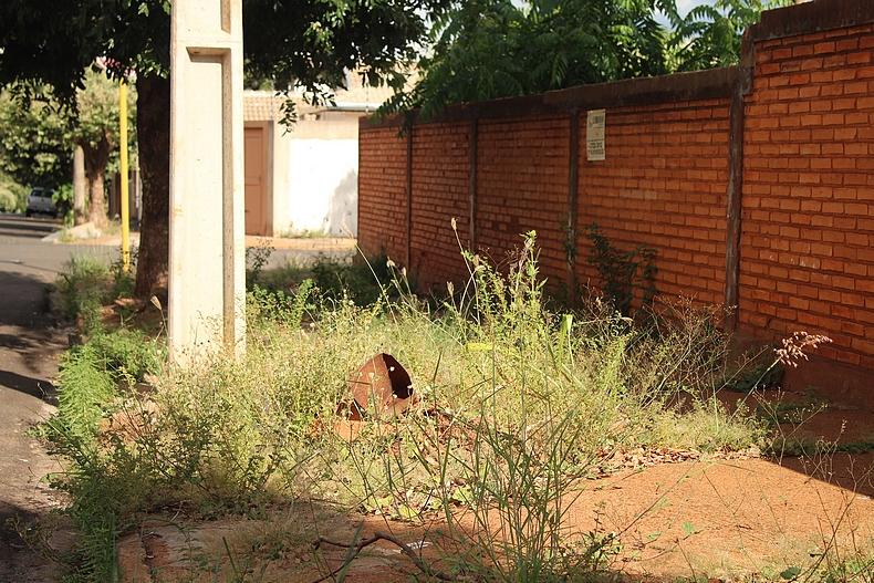 Bairro Vila Rica (Foto Eduardo Imperador e Flávia Gomes)